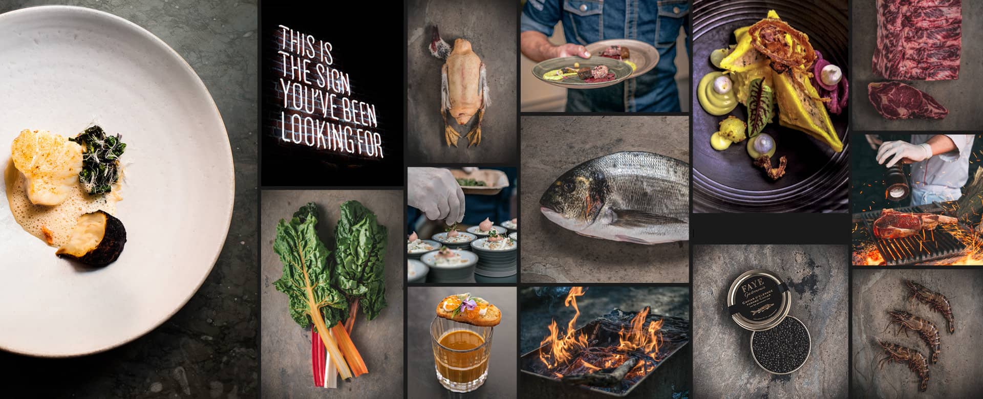 Cook-Header Website