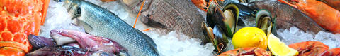Marktberichte_Fisch_1