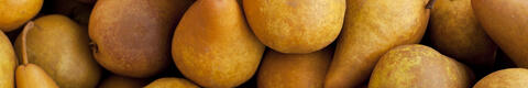 Marktberichte_Obst_2