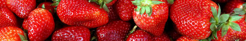 Erdbeeren
