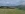 Blick über Wiesen und Heckensträucher mit jungen Bäumen