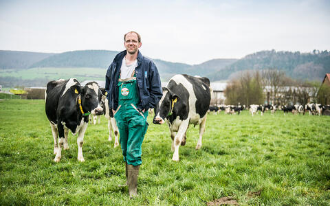 Belriether Bio-Kuhmilchkäse - Rinder und Bauer auf der Weide