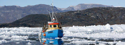 Grönländische Eismeergarnelen - Fischerboot