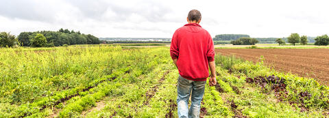 Bio-Gemüse aus Südhessen: Bauer auf Feld
