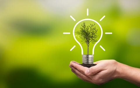 Energieeffizienz und Energiemanagement