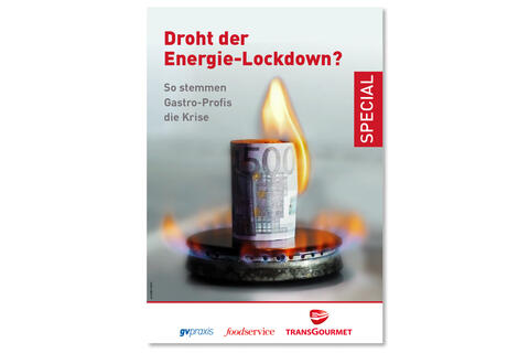 Titelbild der dvf-Sonderausgabe "Droht der Energie-Lockdown?"