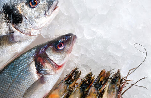 Imagebild Allgemeiner Grundkurs Fisch & Seafood