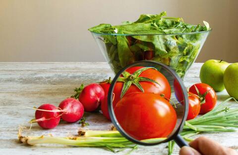 Imagebild Basiskurs HACCP