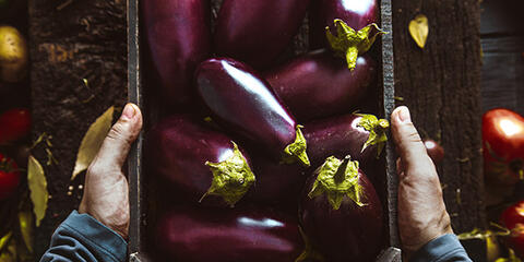 Best of Aubergine