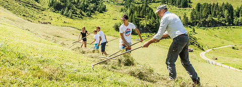 Bauern machen auf einer Alm Heu mit Sensen auf traditionelle Weise