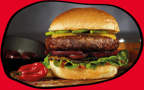 Brioche Burger mit Rinderhack-Patty, Chesterkäse, Lollo Bionda, roten Zwiebeln, Bacon und Burgersauce