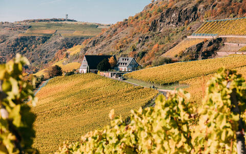 Landschaftsfoto mit Haus