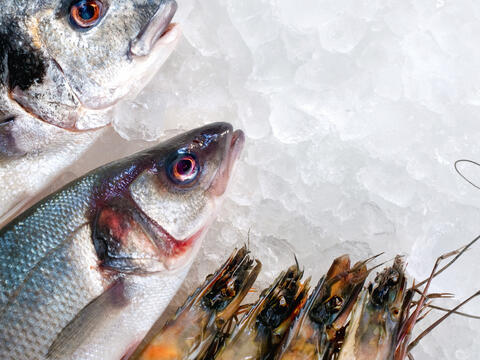 Imagebild Allgemeiner Grundkurs Fisch & Seafood