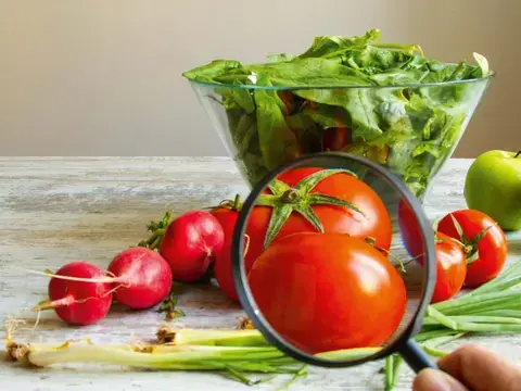 Imagebild Basiskurs HACCP
