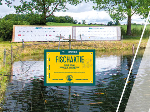Die Trangourmet Ursprung Fischaktie: Teich mit Fischen