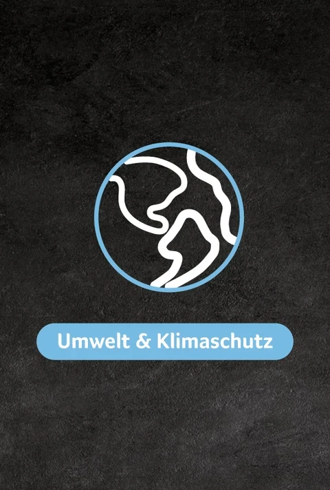 Grafik Nachhaltigkeit "Umwelt & Klimaschutz"